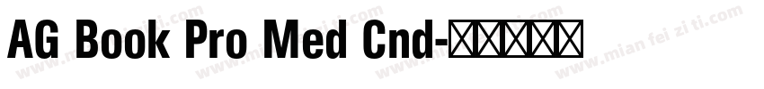 AG Book Pro Med Cnd字体转换